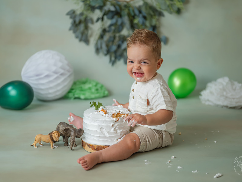 De populairste cake smash fotoshoot achtergronden van 2025