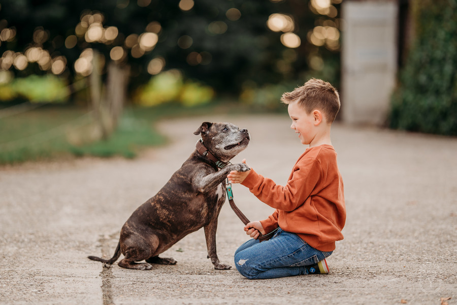 Gezinsfotoshoot Friesland gezin fotoshoot familie portret Flevoland strand bos